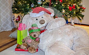 Teddy bears cuddle for Christmas