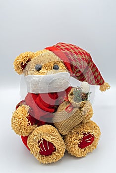 Toy bears in protective masks photo