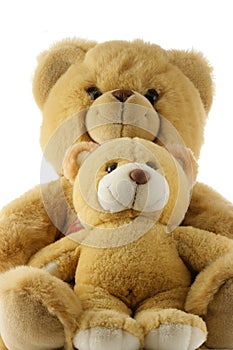 Teddy bears family