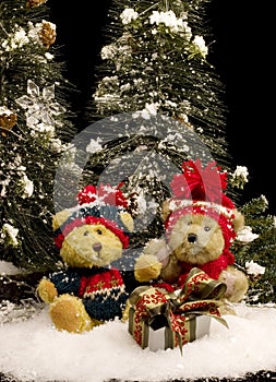 Teddy Bears with Gift - vertical