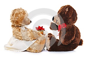 Teddy bears giving a gift