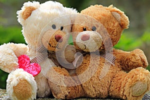 Teddy bears in love