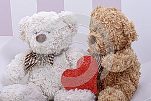 Teddy bears love