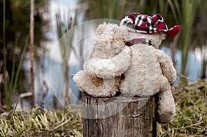 Teddy bears in love hugging by the lake sitting on a stump photo