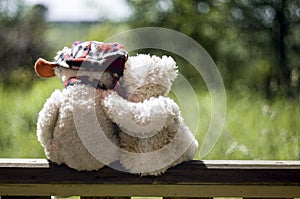 Teddy bears in love hugging on the railing of the arbor photo