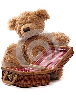 Teddy bears picnic