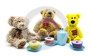 Teddy bears picnic