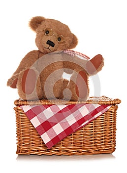 Teddy bears picnic
