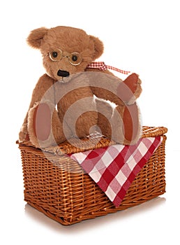 Teddy bears picnic soft toy
