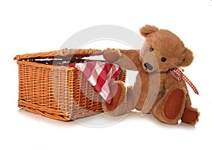 Teddy bears picnic