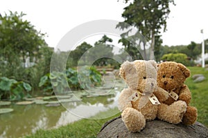 Teddy bears by river