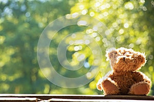 Teddy bears sit on a wooden board under the sun in Ukraine in the summer in the parks, a children's toy