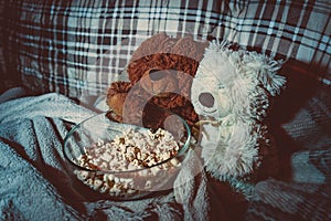 Teddy Bears watch movies on the couch and eat popcorn