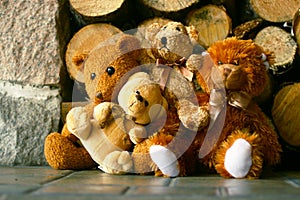 Teddy bears and woodpile photo