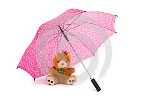 Teddy Beear Under Umbrella