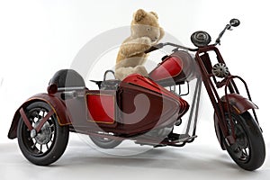Teddy Biker