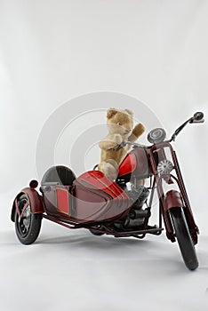 Teddy Biker
