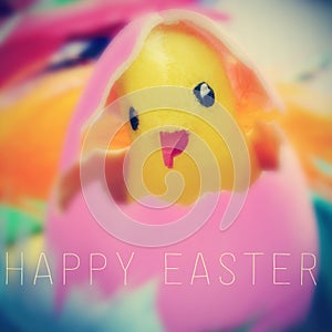 Teddy chick in easter egg and the text happy easter
