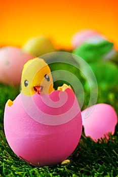 Teddy chick emerging from a pink easter egg on the grass