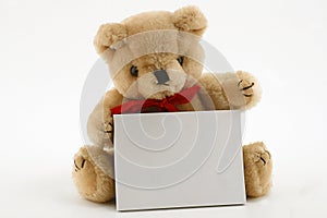 Teddy holding card