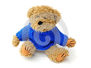 Teddy with jumper photo