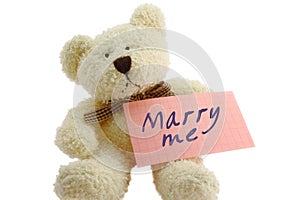 Teddy - marry me