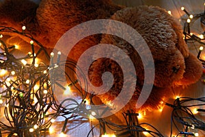 Teddy puppy lying on fairy lights with warm colours.