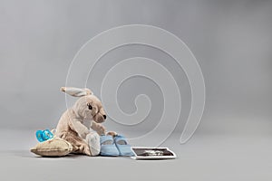 Teddy rabbit with baby shoes and sonography photograph