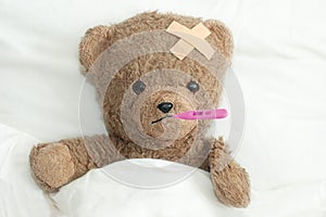 Teddy is sick
