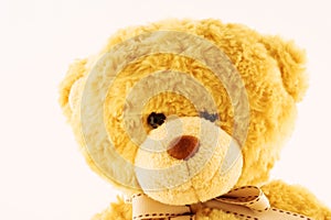 Teddybear photo