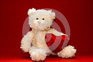 Teddybear photo