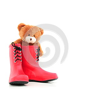 Teddybear in rubber boots