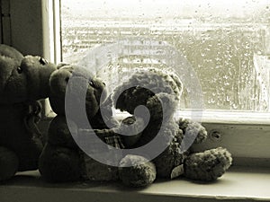 Teddybears on a rainy day