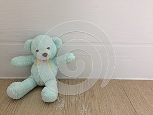 Teddys bear doll