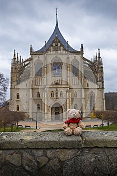 Tedyy bear in Kutna Hora with Saint Barbara`s Church that is a UNESCO world heritage site, Czech Republic