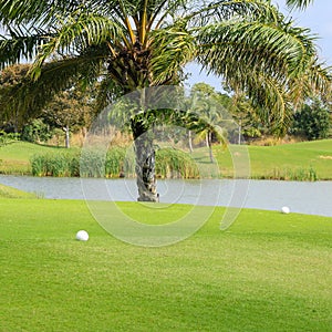 Tee box in the golf course