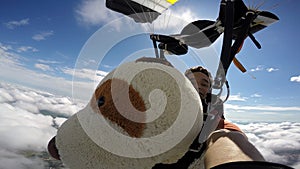 Teedy Bear skydiving selfie