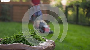 Teen boy cutting grass with electric lawn mower