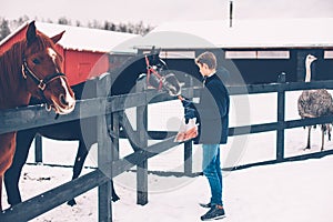 Teen boy feeding a horse on the ranch