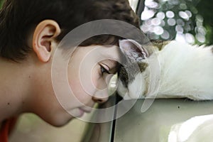 Teen boy kiss cat sleeping on the car