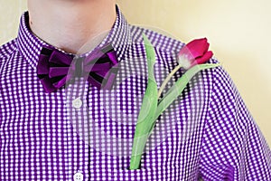 One pink tulip in violet purple shirt pocket with bow-tie