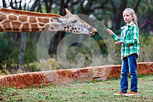 Teen feeding giraffes in Africa