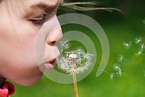 Teen Girl child holds and blows on a dandelion. Happy childhood concept. Playing outdoors