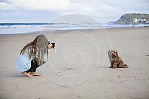 Girl photographing dog on beach