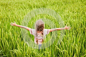 Teen girl on the rice paddies photo