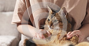 Teen girl with sad abyssinian cat on knees sitting on couch