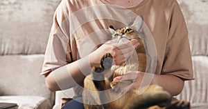 Teen girl with sad abyssinian cat on knees sitting on couch