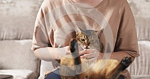 Teen girl with sad abyssinian cat on knees sitting on couch