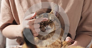 Teen girl with sad abyssinian cat on knees sitting on couch