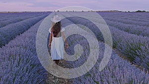 Teen girl walks by blooming lavender fields with blue lavender flowers.